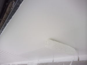 <p>軒天は、結露・カビ防止のためツヤ消しの塗料をおすすめしてます。